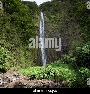 Waimoku Falls am Ende der Pipiwai Trail in der Nähe von Hana, Maui, Hawaii Stockfoto