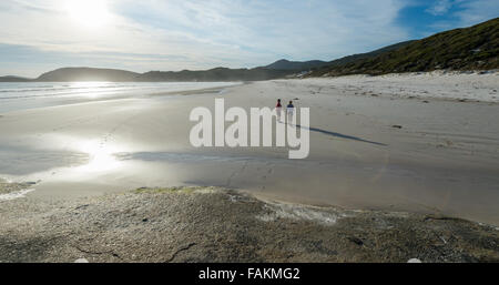 Unberührte Strände Wilsons Promontory Nationalpark Stockfoto