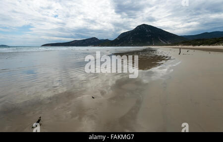 Wilsons Promontory Nationalpark Stockfoto