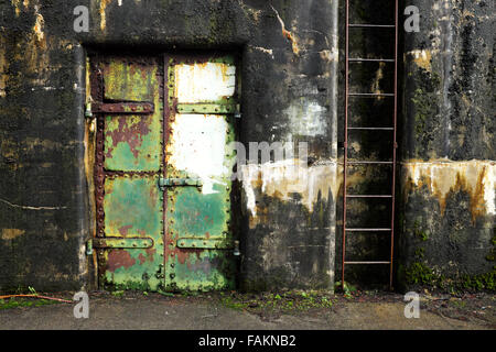 Rostige grünen Stahltür und Leiter auf Beton Bunker Tunnel, Artillerie Hill, Fort Worden State Park, Port Townsend geschlossen Stockfoto