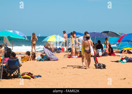 Sydney, Australien. 1. Januar 2016. Bilgola Beach, einem der berühmten Sydneys Nordstrände vollgepackt mit einheimischen und Urlauber am Neujahrstag. Bildnachweis: model10/Alamy Live-Nachrichten Stockfoto