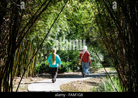 Gainesville Florida, Kanapaha Botanical Gardens, Pflanzen, Bäume, Natur, Bambus, Erwachsene Erwachsene Männer Männer männlich, Frau Frauen weibliche Dame, Paar, Wandern, Wandern, Trai Stockfoto