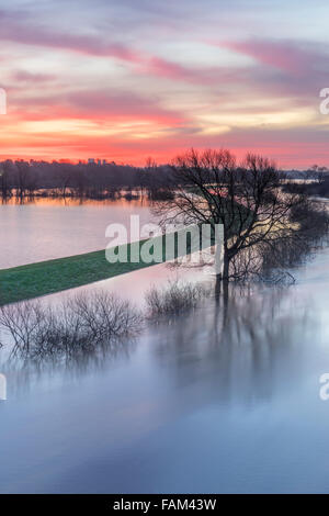 Clifton-Ings, York, UK. 1. Januar 2016. Blick vom Clifton Bridge auf der Ringstraße über Fluss Ouse und entfernte York Minster in der Morgendämmerung am Silvester Tag 2016. Das Hochwasser ist zurückgeht. Bildnachweis: John Potter/Alamy Live-Nachrichten Stockfoto