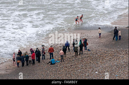 Langland Bucht, Swansea, Großbritannien. 1. Januar 2016. Schwimmer trotzen den kalten See bei Langland Bucht in der Nähe von Swansea heute während des traditionellen Neujahr-Schwimmens. Bildnachweis: Phil Rees/Alamy Live-Nachrichten Stockfoto