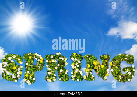 Wort-Feder mit Blume Textur Stockfoto