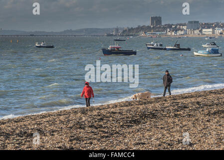 Ein paar Gehminuten Ihren Hund am Strand entlang an Thorpe Bay in Southend On Sea, Essex, Großbritannien. Stockfoto