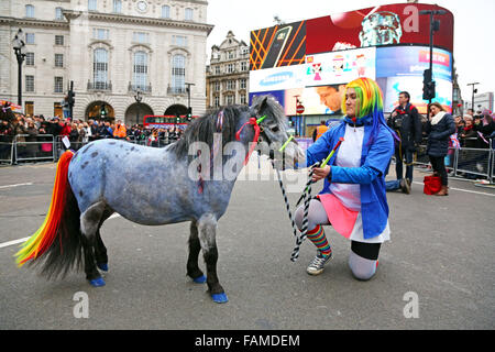 London, UK. 1. Januar 2016. Ein Pferd mit einem Regenbogen Schweif beteiligt sich an der Londoner New Year es Day Parade, London, England das sah mehr als 8.500 Künstler aus 20 Ländern weltweit teilnehmen. Mit Wettkämpfen in London Boroughs und amerikanischen marching Bands und viele, viele Pferde war es sicherlich ein großes Spektakel zu Beginn des Jahres. Bildnachweis: Paul Brown/Alamy Live-Nachrichten Stockfoto