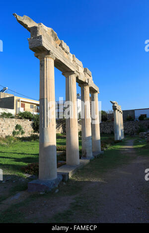 Spalten der alten hellenistischen Gymnasium, Xisto, Kos Stadt, Insel Kos, Dodekanes Gruppe von Inseln, Süd Ägäis, Griechenland Stockfoto