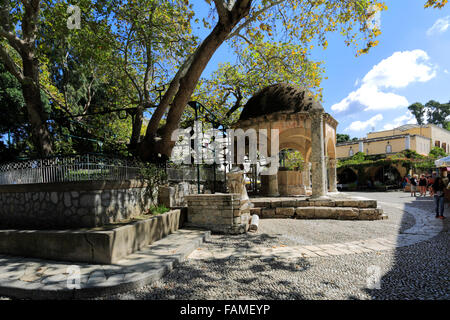 Der Hippokrates-Platane, gepflanzt von Hippokrates, Plane Tree Square, Kos-Stadt, Insel Kos, Dodekanes-Gruppe von Inseln, Süd Stockfoto