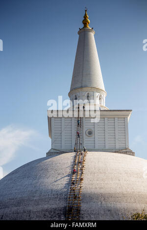 Ruwanweliseya, Maha Thupa, oder große Stupa, UNESCO-Weltkulturerbe, Anuradhapura, Sri Lanka, Asien-UNESCO Weltkulturerbe Stockfoto