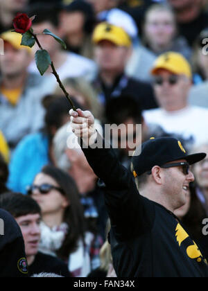 Iowa, USA. 1. Januar 2016. Eine Iowa-Fan hält eine Rose für die Spieler in der ersten Hälfte von der Rose Bowl in Pasadena, Kalifornien Freitag, 1. Januar 2016 Credit: Kevin E. Schmidt/Quad-City Times / ZUMA Draht/Alamy Live News Stockfoto