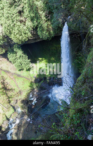 Ein hoch leistungsfähige Wasserfall in Silver Falls State Park in Oregon fließt über ein Regal von Felsen und durch eine tiefe Schlucht. Stockfoto