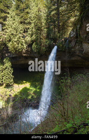 Ein hoch leistungsfähige Wasserfall in Silver Falls State Park in Oregon fließt über ein Regal von Felsen und durch eine tiefe Schlucht. Stockfoto