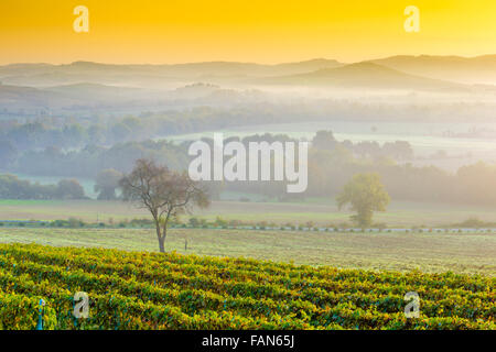 Sonnenaufgang in der Toskana Stockfoto