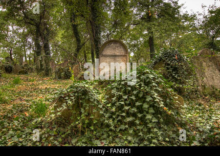 Alter jüdischer Friedhof bei Kolin Stockfoto