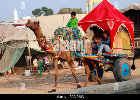 Kamel Wagen, ein beliebtes Transportmittel in Rajasthan, Indien Stockfoto