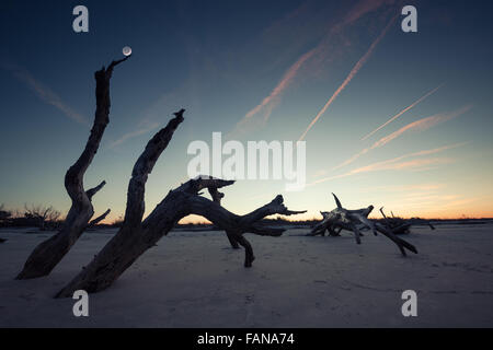 Folly Beach in der Dämmerung, James Island, South Carolina, USA Stockfoto