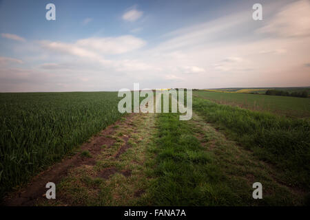 Countryside road at sunset Stockfoto