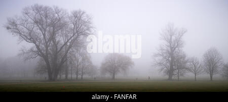 München, Deutschland. 1. Januar 2016. Ein Jogger macht seinen Weg durch den nebligen englischen Garten in München, 1. Januar 2016. Foto: PETER KNEFFEL/Dpa/Alamy Live News Stockfoto