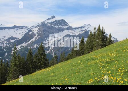 Frühling in den Schweizer Alpen Stockfoto