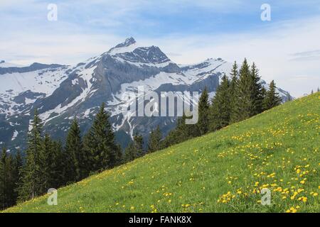 Mt Oldenhorn im Frühjahr Stockfoto