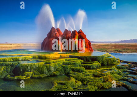 Der durchgehende Fly Geyser in der Black Rock Desert von Nevada, USA Stockfoto