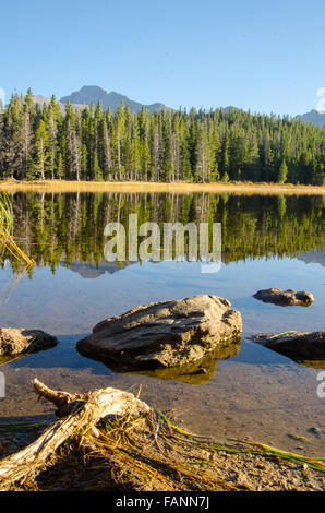 Felsen entlang der Uferlinie von Bäumen und Bergen reflektiert in Bierstadt Lake Stockfoto