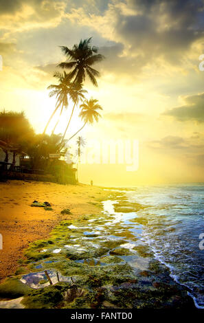 Abend am Strand des Ozeans Stockfoto
