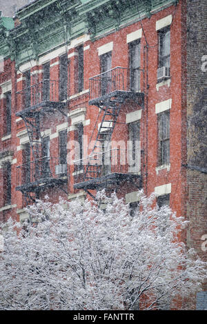 Schneebedeckte Baum vor einem Hells Kitchen Gebäude mit Feuerleiter während eines Schneesturms. Midtown Manhattan, New York im winter Stockfoto