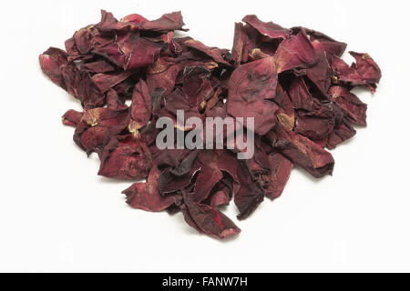 Herzform Verwelkte Rosen Blütenblatt isoliert auf weißem Hintergrund Stockfoto