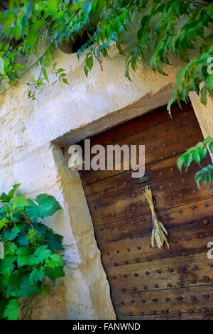 Alte Holztür und wildem Wein an der Fassade eines alten französischen Hauses Stockfoto