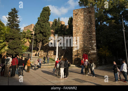 Römische Amphitheater und die Alcazaba in Malaga, Andalusien, Spanien, Europa. Stockfoto