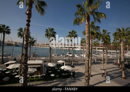 Muelle Uno Waterfront Entwicklung am Hafen, bekannt als El Palmeral de Las Sorpresas in Malaga, Andalusien, Spanien. Stockfoto