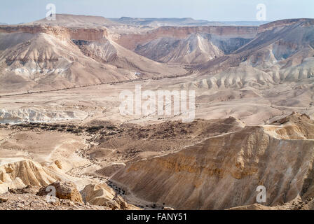 Wüste Zin, Steinwüste, Teil der Negev-Wüste, Oberlauf des Nahal Zin, im Kibbuz Sde Boker, South District Stockfoto