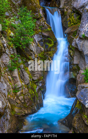 Christine verliebt sich in Mount Rainier Nationalpark, Washington Stockfoto