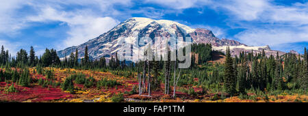 Mount Rainier im Herbst im Bereich Paradies Mount Rainer Nationalpark, Washington, USA Stockfoto