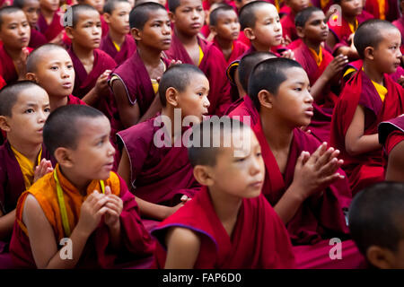 Junge buddhistische Mönche beten in Mahabodhi Mahavihara in Bodh Gaya, Bihar, Indien. Stockfoto