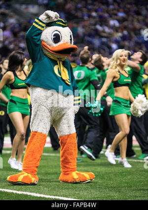 2. Januar 2016: '' Pfützen '' führt das Oregon Ducks Maskottchen während der Valero Alamo Bowl-Spiel zwischen Oregon Vs TCU an der Alamodome in San Antonio, Texas. Stockfoto