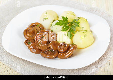 Eingelegte orange Pilze mit Salzkartoffeln Stockfoto