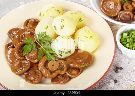 Eingelegte orange Pilze mit Salzkartoffeln Stockfoto