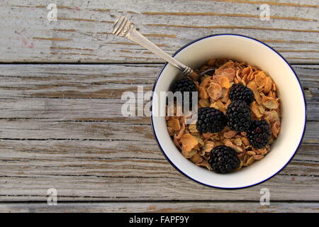 Große weiße Keramikschale mit blauer Kanten, gefüllt mit gesundem Getreide und saftigen Brombeeren auf altem, verwittertem grauem Brett. Stockfoto