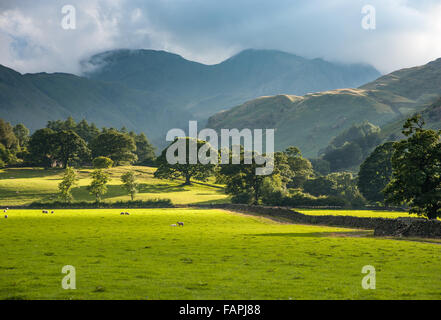 Fairfield aus Feld in der Nähe von Deepdale Brücke Stockfoto