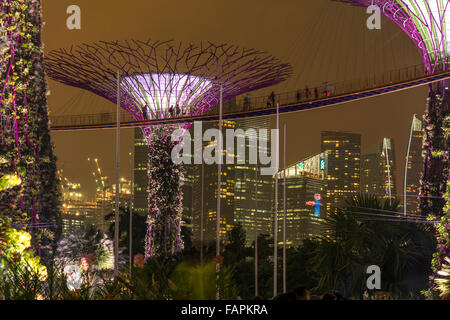 Skyway zwischen bunt beleuchtet Super Bäume, Gärten durch die Bucht, Singapur, Asien Stockfoto
