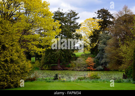 Lake anzeigen malerische Frühling Wachstum Farbe Farbe mehrjährige Herabaceous Pflanzung Altamont Gärten Carlow Irland RM Floral Stockfoto