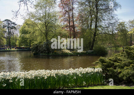 Wasserspiel im Keukenhof Park. Stockfoto