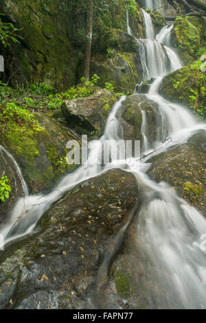 Ort der tausend Tropfen entlang der Roaring Fork Motor Naturlehrpfad, tolle Smoky Mountain NP, Tennessee USA Stockfoto