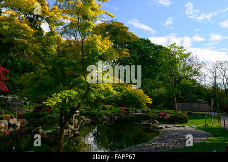 Kyoto Garten japanische Gärten Stil asiatischen Holland Park City Notting Hill Gate Kensington London RM Floral Stockfoto