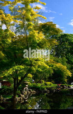 Kyoto Garten japanische Gärten Stil asiatischen Holland Park City Notting Hill Gate Kensington London RM Floral Stockfoto