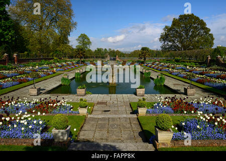 Kensington Palace Gardens versunkene Garten Frühling Blumen Tulpen Ersyimum Blüte formale Bett Rahmen anzuzeigen RM Floral Stockfoto