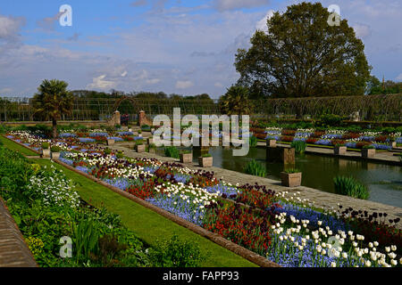 Kensington Palace Gardens versunkene Garten Frühling Blumen Tulpen Ersyimum Blüte formale Bett Rahmen anzuzeigen RM Floral Stockfoto